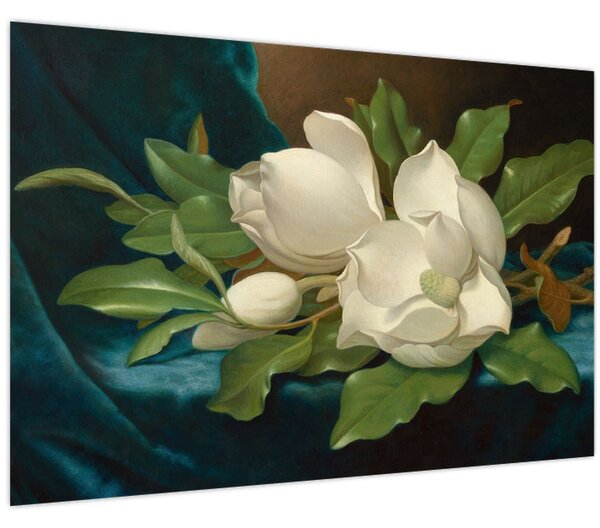 Slika - Martin Johnson Heade, Giant Magnolias on a Blue Velvet Cloth, reprodukcije (90x60 cm)