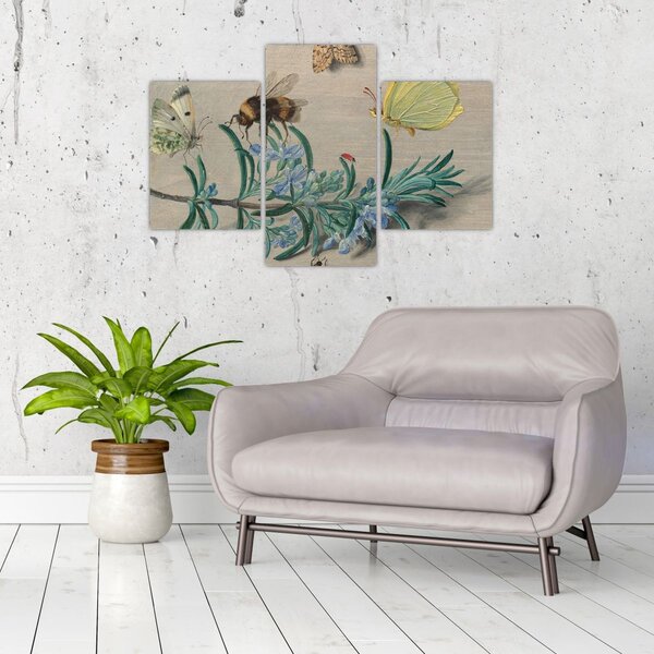 Slika - Jan van Kessel the Elder, Insects and a Sprig of Rosemary, reprodukcije (90x60 cm)