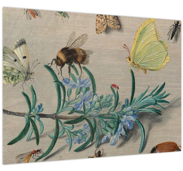 Slika - Jan van Kessel the Elder, Insects and a Sprig of Rosemary, reprodukcije (70x50 cm)