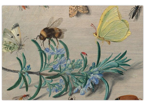Slika - Jan van Kessel the Elder, Insects and a Sprig of Rosemary, reprodukcije (90x60 cm)