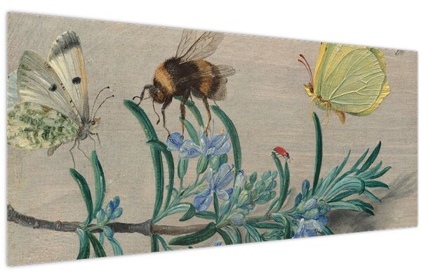 Slika - Jan van Kessel the Elder, Insects and a Sprig of Rosemary, reprodukcije (120x50 cm)