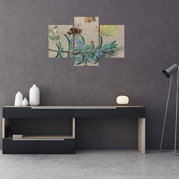 Slika - Jan van Kessel the Elder, Insects and a Sprig of Rosemary, reprodukcije (90x60 cm)