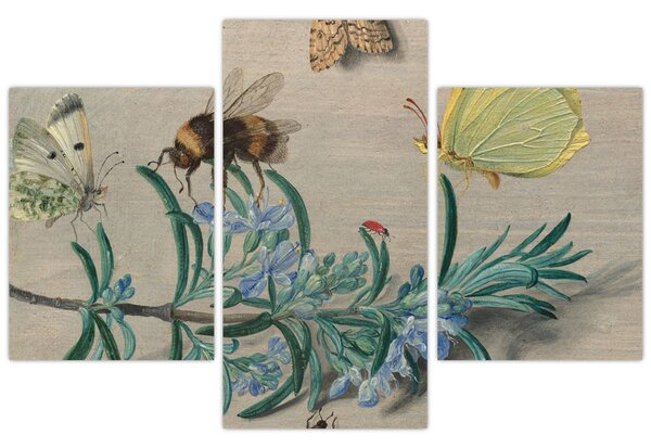Slika - Jan van Kessel the Elder, Insects and a Sprig of Rosemary, reprodukcije (90x60 cm)