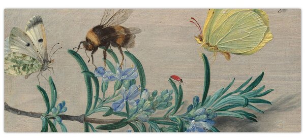 Slika - Jan van Kessel the Elder, Insects and a Sprig of Rosemary, reprodukcije (120x50 cm)