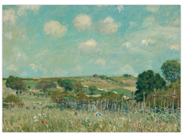 Slika - Alfred Sisley, Meadow, reprodukcije (70x50 cm)