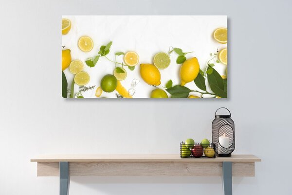 Slika miks citrusa