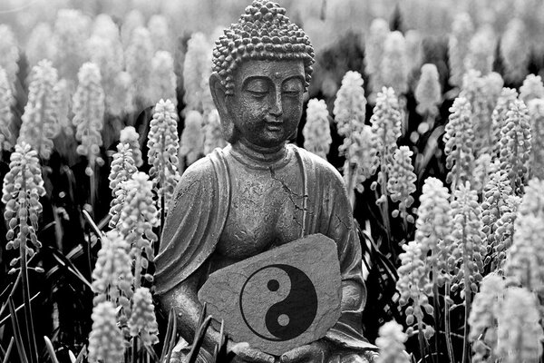 Slika jin i jang Buddha u crno-bijelom dizajnu