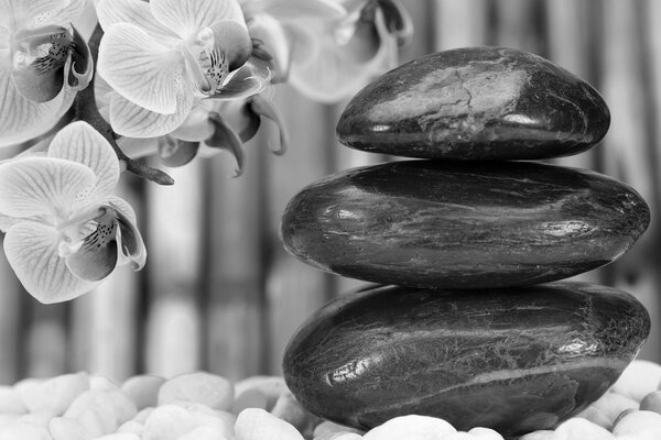 Slika japanski Zen vrt u crno-bijelom dizajnu