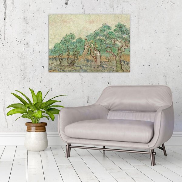 Slika - Vincent van Gogh, The Olive Orchard, reprodukcije (70x50 cm)