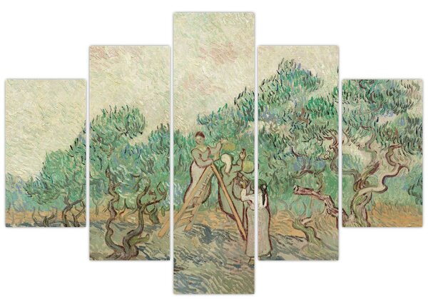 Slika - Vincent van Gogh, The Olive Orchard, reprodukcije (150x105 cm)