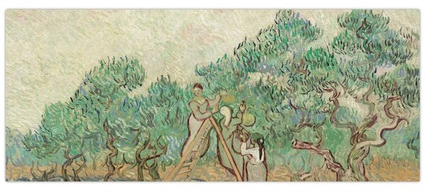 Slika - Vincent van Gogh, The Olive Orchard, reprodukcije (120x50 cm)