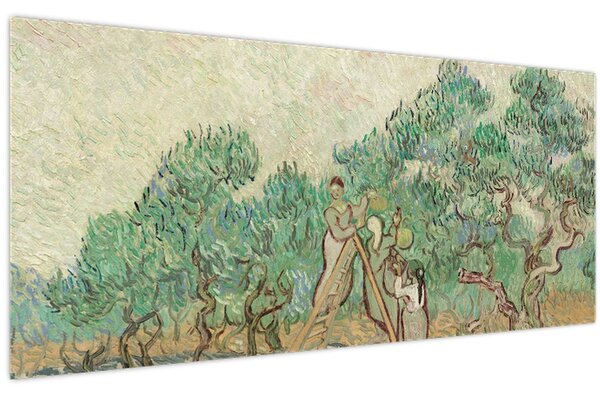 Slika - Vincent van Gogh, The Olive Orchard, reprodukcije (120x50 cm)