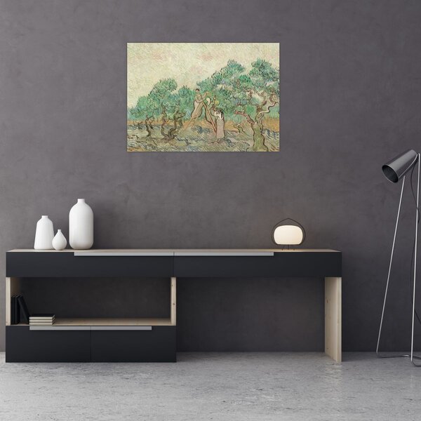 Slika - Vincent van Gogh, The Olive Orchard, reprodukcije (70x50 cm)