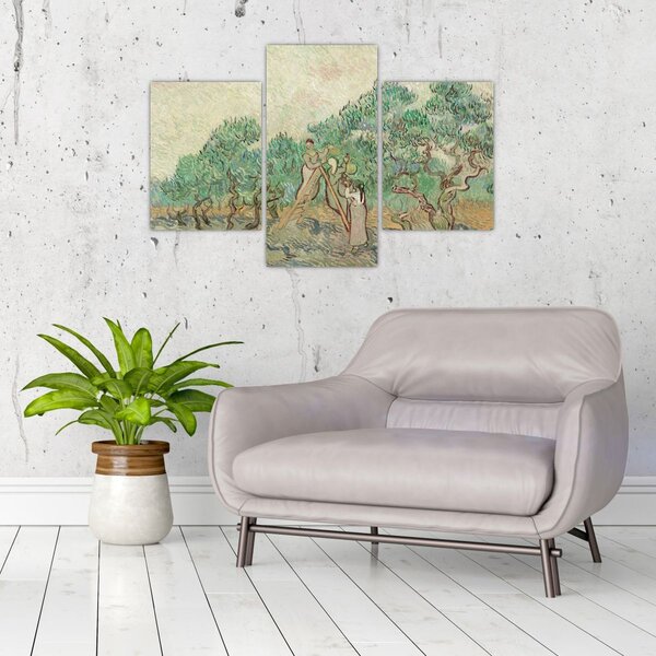 Slika - Vincent van Gogh, The Olive Orchard, reprodukcije (90x60 cm)