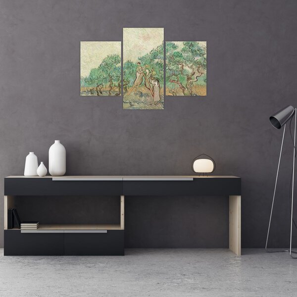 Slika - Vincent van Gogh, The Olive Orchard, reprodukcije (90x60 cm)