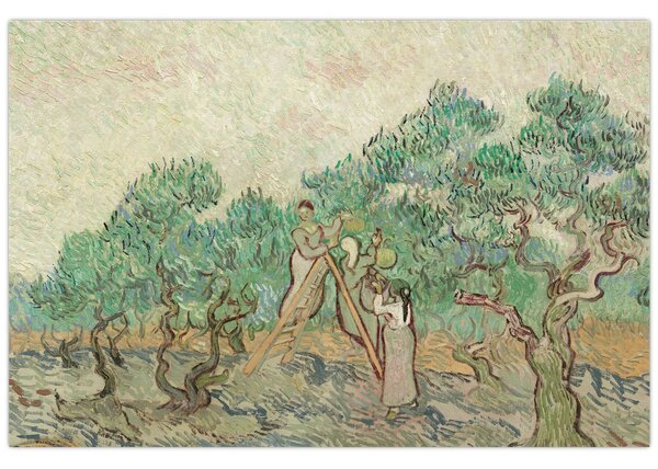 Slika - Vincent van Gogh, The Olive Orchard, reprodukcije (90x60 cm)