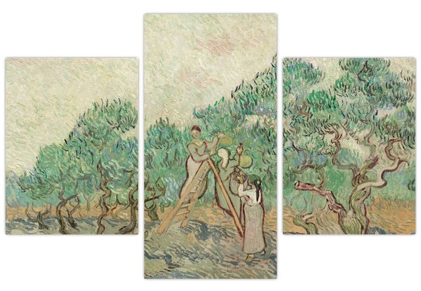 Slika - Vincent van Gogh, The Olive Orchard, reprodukcije (90x60 cm)