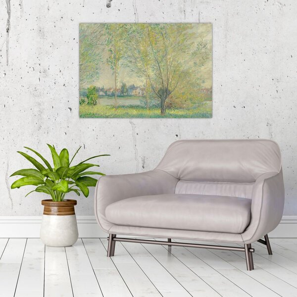 Slika - Claude Monet, The Willows, reprodukcije (70x50 cm)