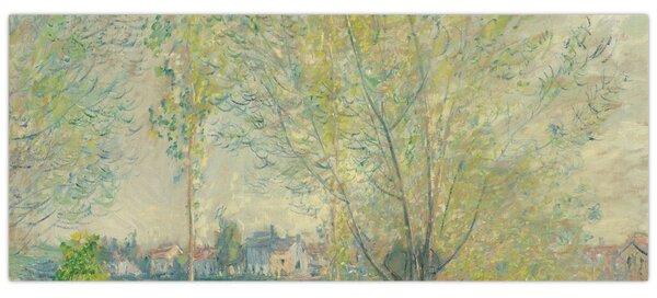 Slika - Claude Monet, The Willows, reprodukcije (120x50 cm)