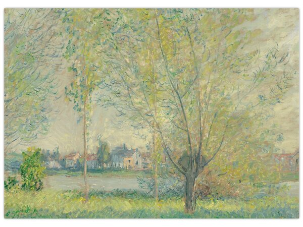 Slika - Claude Monet, The Willows, reprodukcije (70x50 cm)