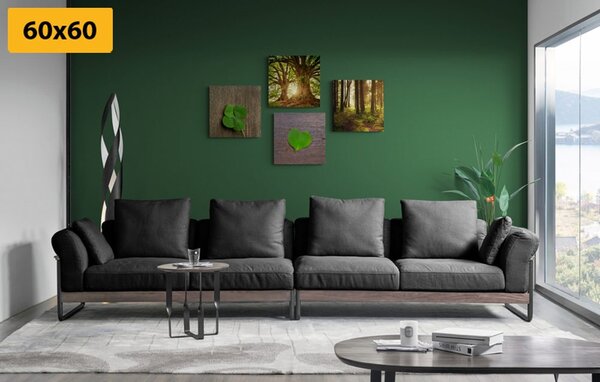 Set slika dašak prirode