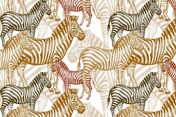 Slika carstvo zebra