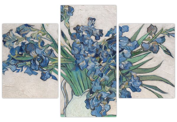 Slika - Vincent van Gogh, Irises, reprodukcije (90x60 cm)