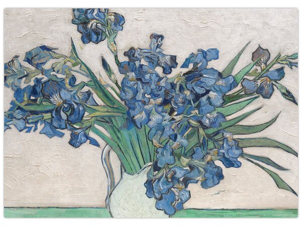 Slika - Vincent van Gogh, Irises, reprodukcije (70x50 cm)