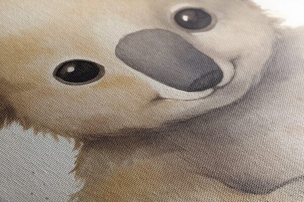 Slika koala sanjarka