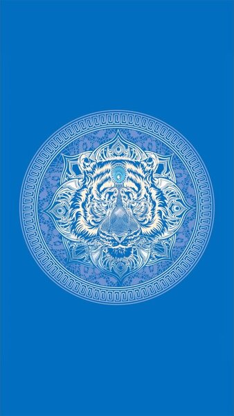 Plažni set TIGER – ručnik 100×180 cm i pončo 80×145 cm, plava