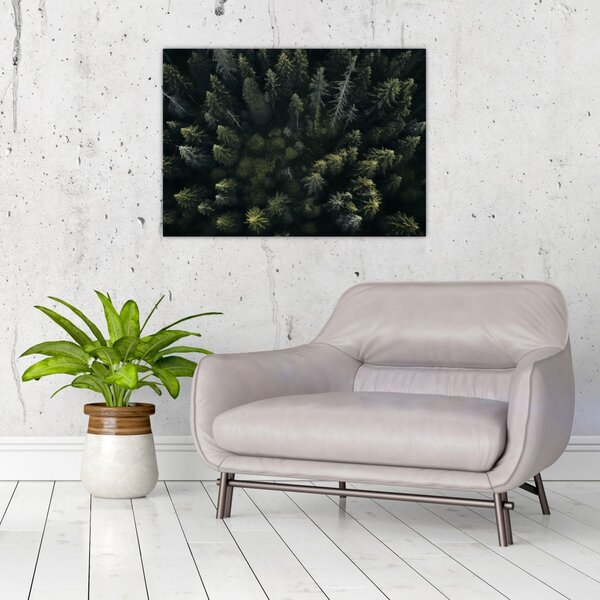 Staklena slika - Šuma (70x50 cm)