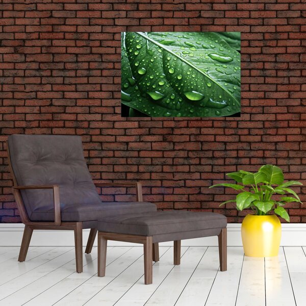 Slika - Detalj lista nakon kiše (70x50 cm)