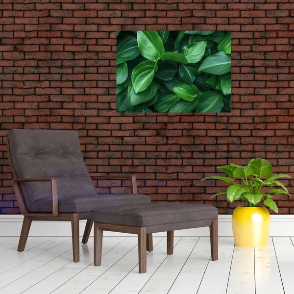 Slika - Zeleno lišće (70x50 cm)