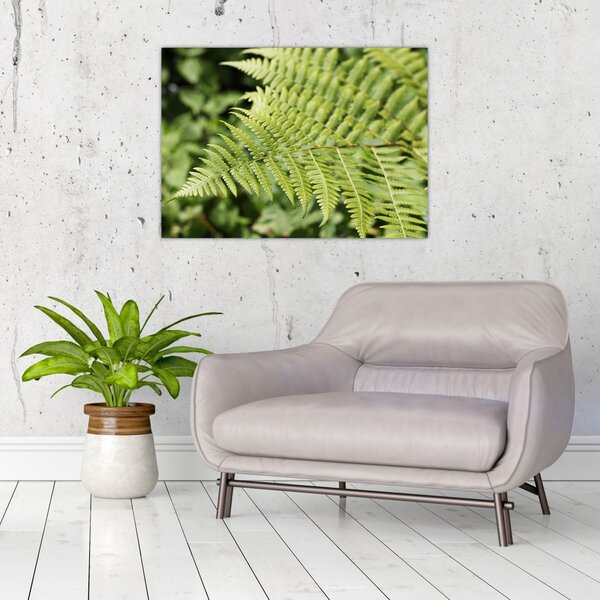 Slika - List paprati (70x50 cm)