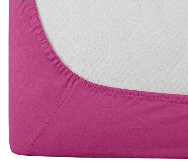 Pamukasta plahta s gumicom STANDARD 90 x 200 cm purpurna