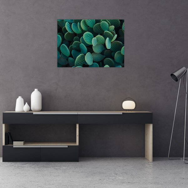 Slika - Opuntia (70x50 cm)