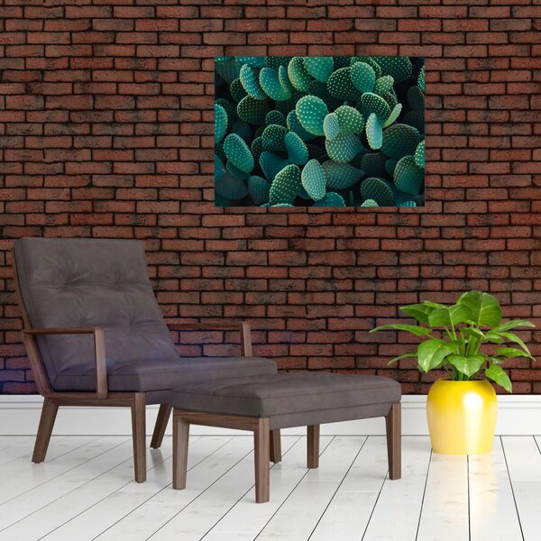 Slika - Opuntia (70x50 cm)
