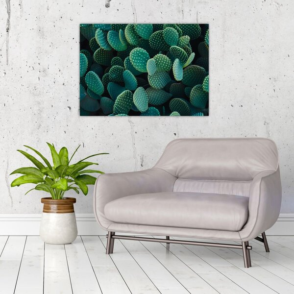 Slika - Opuntia (70x50 cm)