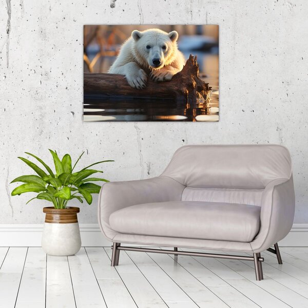 Slika - Polarni medvjed (70x50 cm)