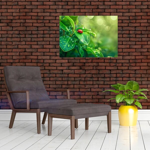 Slika - Bubamara (70x50 cm)