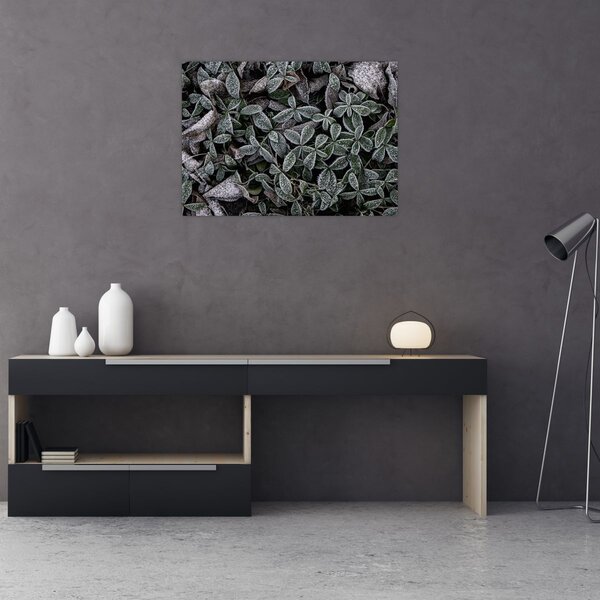 Slika - Smrznute biljke (70x50 cm)