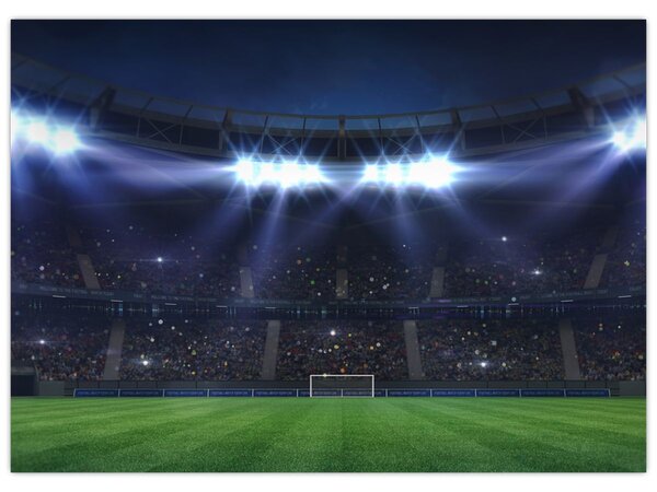 Slika - Nogometni stadion (70x50 cm)