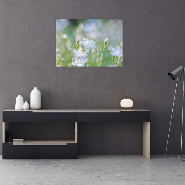 Slika - Nježno cvijeće (70x50 cm)