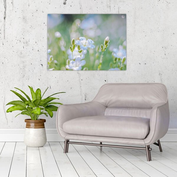 Slika - Nježno cvijeće (70x50 cm)