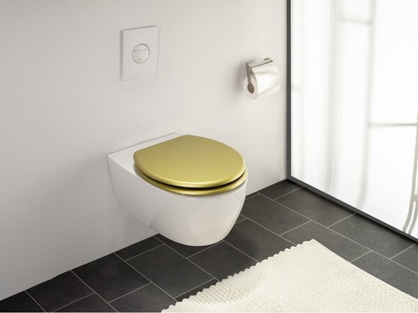 WC daska 38 x 41 cm Aldeno – Wenko