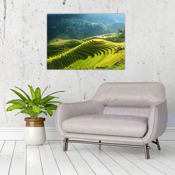 Slika - Koncert na rižinim terasama (70x50 cm)