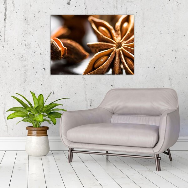 Slika - Anis (70x50 cm)