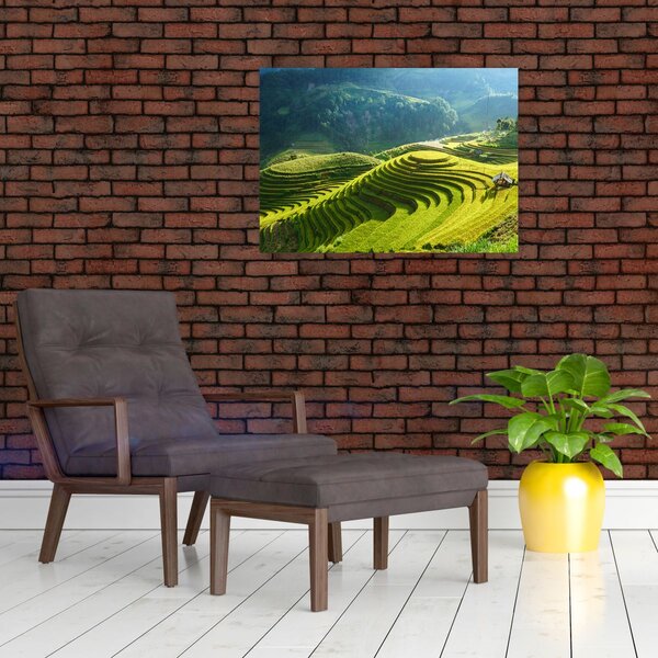 Slika - Koncert na rižinim terasama (70x50 cm)