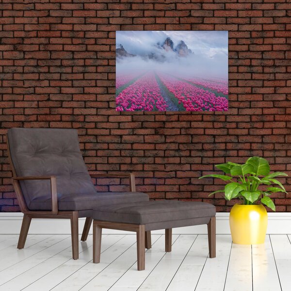 Slika - Krajolik s poljima tulipana (70x50 cm)