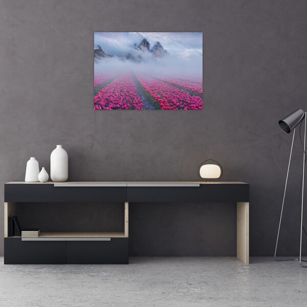 Slika - Krajolik s poljima tulipana (70x50 cm)